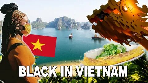 Hotspot Matrix và Cá Phổi Tây Phi: Sự Hợp Tác Để Bảo Vệ