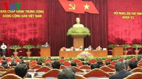 Bonobo: Nguồn Gốc Tiến Hóa Của Ngôn Ngữ Con Người?