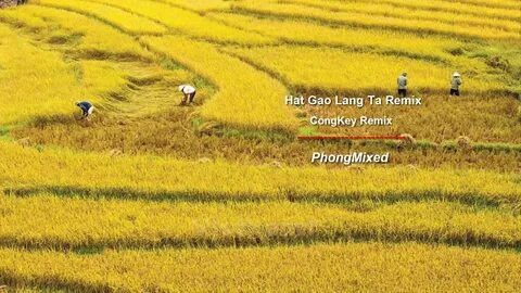 Hotspot Matrix – Giải pháp toàn diện cho thời đại video ngắn và tiếp thị số_Đối tác Hotspot Matrix